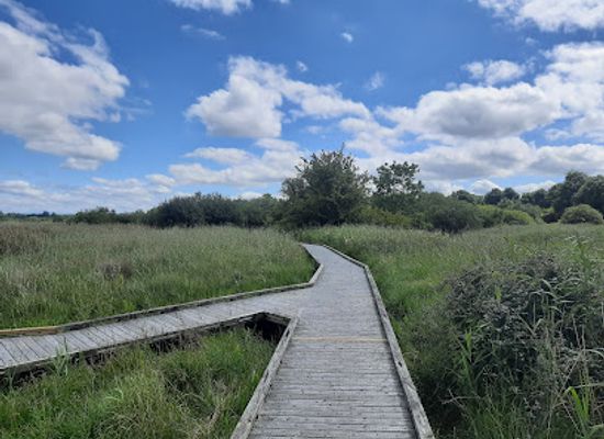 ireland/county-kildare/landmark/pollardstown-fen