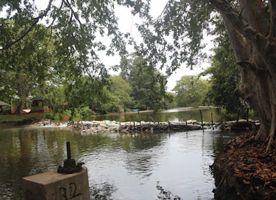sri-lanka/puttalam-district/landmark/wilpattu-national-park-entrance