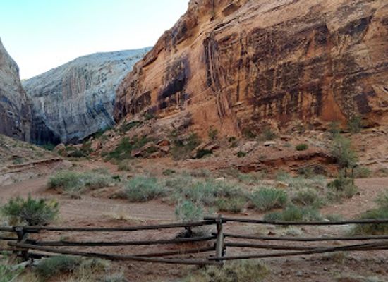utah/san-rafael-swell/landmark/black-dragon-pictograph