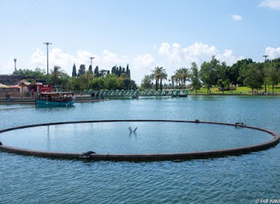 israel/ra-anana/landmark/ra-anana-park