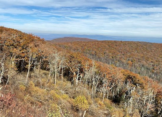 virginia/blue-ridge-highlands/landmark/apple-orchard-mountain