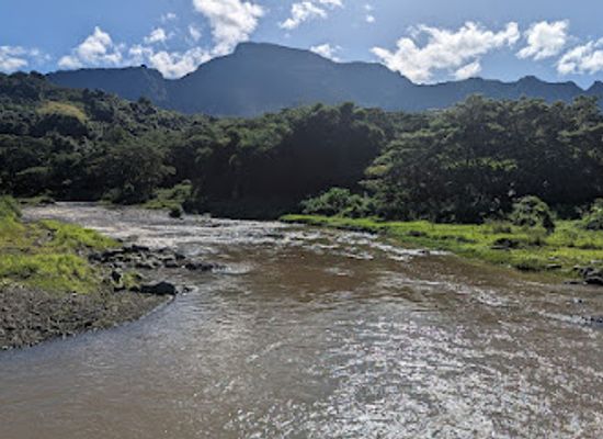 fiji/vanua-levu/landmark/koroyanitu-national-park