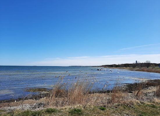 estonia/kärdla/landmark/sampanjabaar-ja-restoran-kork