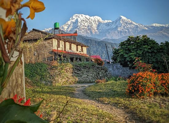 nepal/chitwan-valley/landmark/united-jungle-guide-service