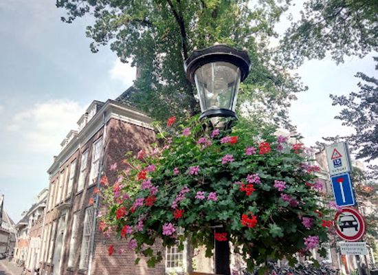 netherlands/betuwe/landmark/pieterskerk