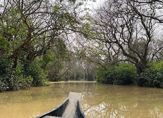 bangladesh/ratargul-swamp-forest/landmark/rathargul-swamp-forest