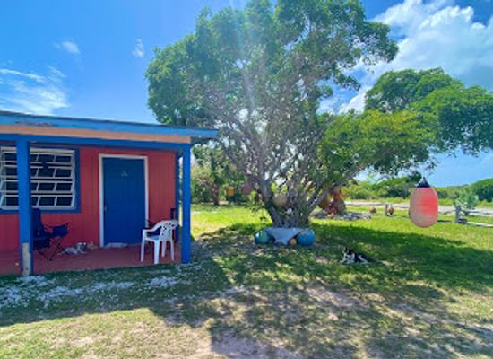 the-bahamas/acklins/landmark/salina-point-angling-adventures