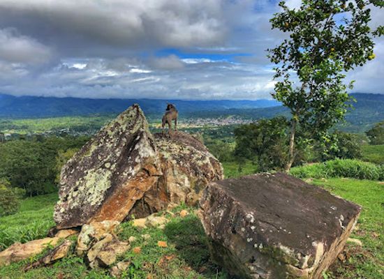 ecuador/southeast-oriente/landmark/finca-el-piura