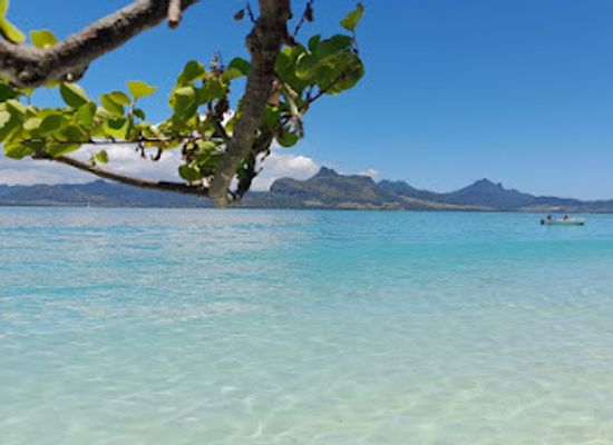 mauritius/blue-bay/landmark/sud-tropical
