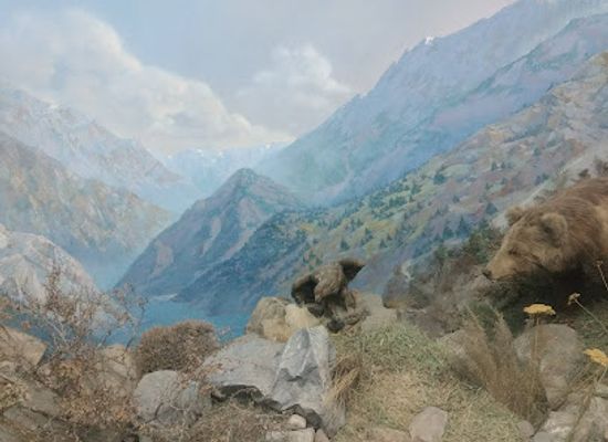 uzbekistan/fergana-valley/landmark/ferganskiy-oblastnoy-krayevedcheskiy-muzey