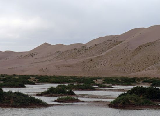 mongolia/ikh-nuur-basin/landmark/khongor-sand-dune