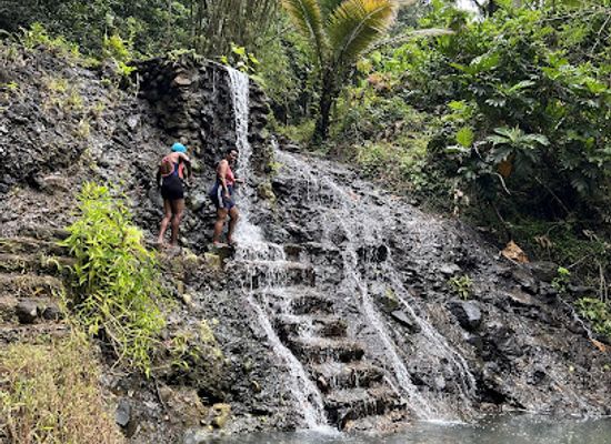 saint-lucia/castries/landmark/island-trekkers