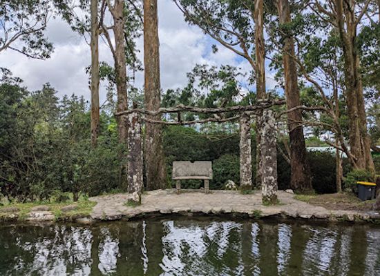 panama/el-valle-de-anton/landmark/square-trees-nature-trail-arboles-cuadrados
