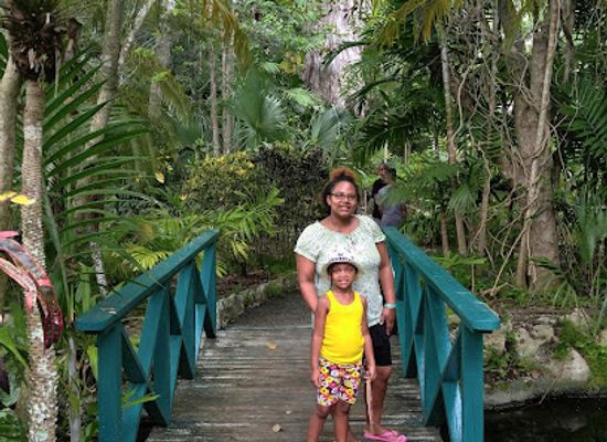 the-bahamas/grand-bahama/landmark/garden-of-the-groves