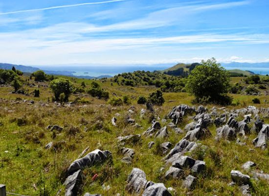 new-zealand/tasman/landmark/ngarua-caves