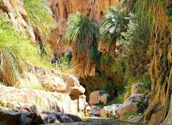 jordan/mujib-nature-reserve/landmark/wadi-bin-hammad
