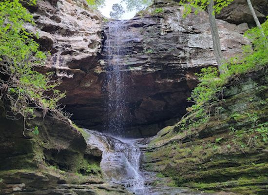 illinois/giant-city-state-park/landmark/ferne-clyffe-state-park
