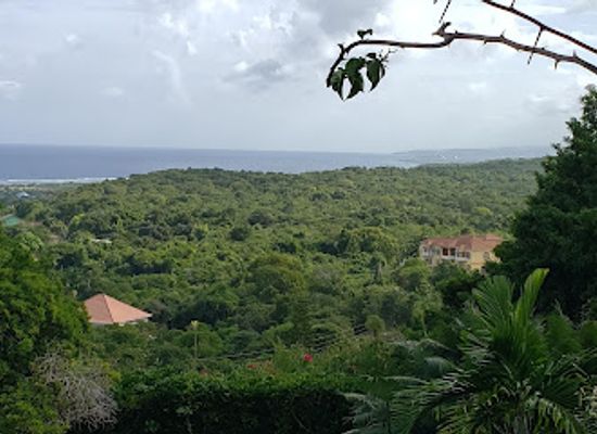 jamaica/cockpit-country/landmark/greenwood-great-house