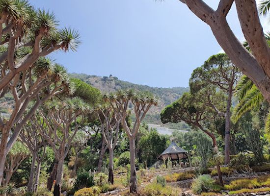 gibraltar/alameda-botanic-gardens/landmark/rotary-club-educational-garden