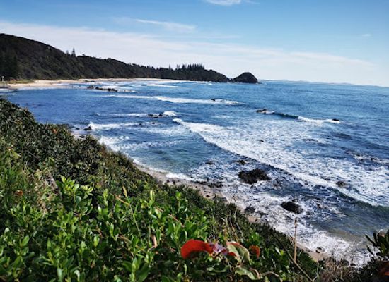 australia/mid-north-coast/landmark/sea-acres-rainforest-centre