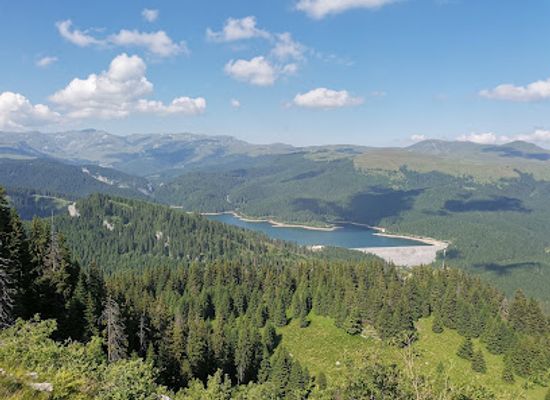 romania/dambovita/landmark/podu-cu-florile