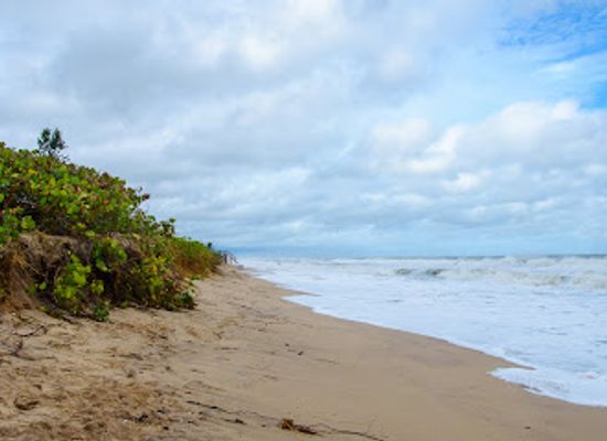 florida/sebastian-inlet-state-park/landmark/sebastian-inlet-state-park-hammock-trail