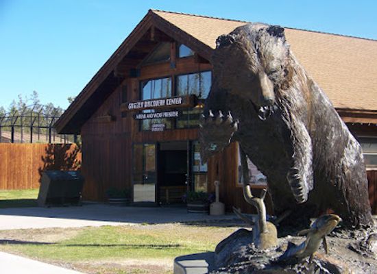 idaho/treasure-valley/landmark/grizzly-wolf-discovery-center