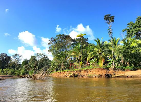 costa-rica/caribbean-coast/landmark/parque-nacional-tortuguero