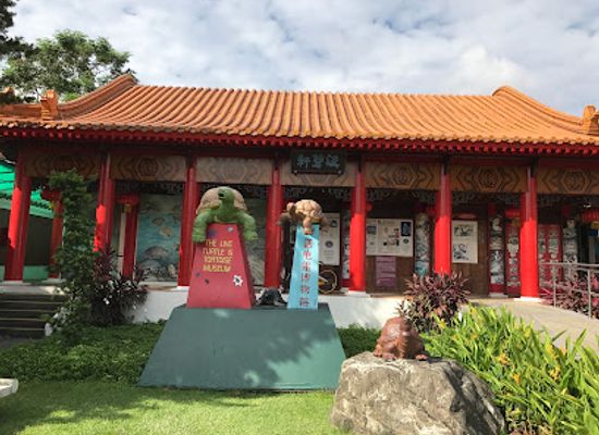 singapore/yishun/landmark/live-turtle-museum-singapore
