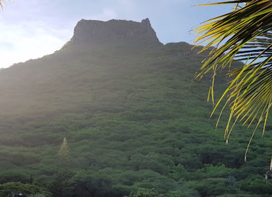 mauritius/tamarin/landmark/tamarin-mountain