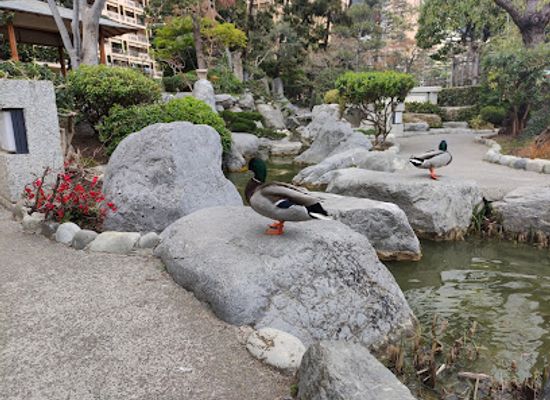 monaco/saint-roman/landmark/saint-roman-casabianca