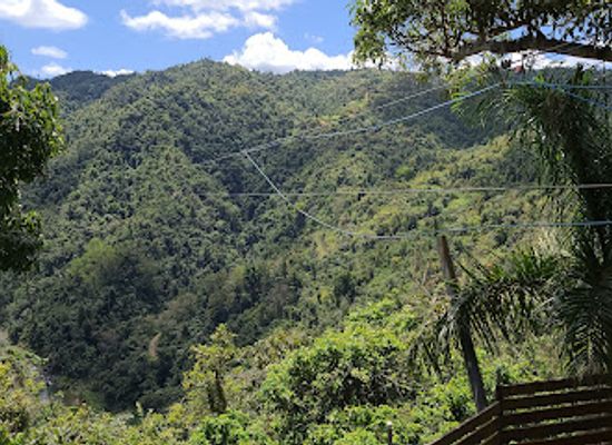 puerto-rico/la-cordillera-central/landmark/toro-verde-adventure-park