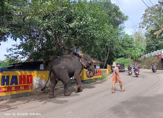 india/varkala/landmark/hairpin-curve-varkala