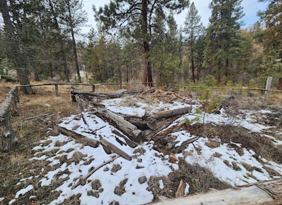 oregon/washington-county/landmark/historic-old-cabin-ruins