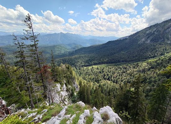 austria/eisenwurzen/landmark/unesco-weltnaturerbe-wildnisgebiet-durrenstein-lassingtal