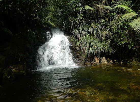 guatemala/verapaces/landmark/ranchitos-del-quetzal