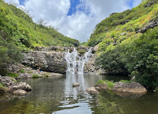 mauritius/black-river/landmark/yanature