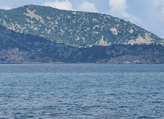 vietnam/quy-nhon/landmark/vinh-quy-nhon