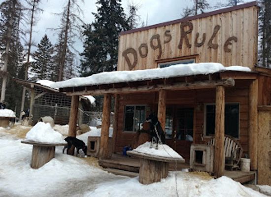 montana/the-flathead/landmark/dog-sled-adventures