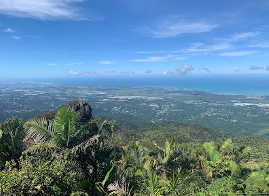 puerto-rico/caribbean-national-forest/landmark/el-yunque-peak-tower