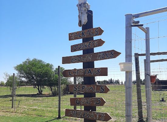south-africa/bloemfontein/landmark/zanchieta-wildlife-rescue