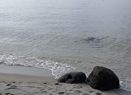 singapore/punggol/landmark/punggol-beach