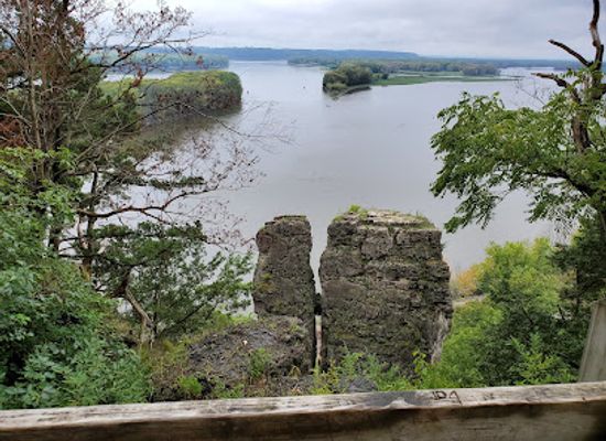 illinois/mississippi-palisades-state-park/landmark/mississippi-palisades-national-natural-landmark