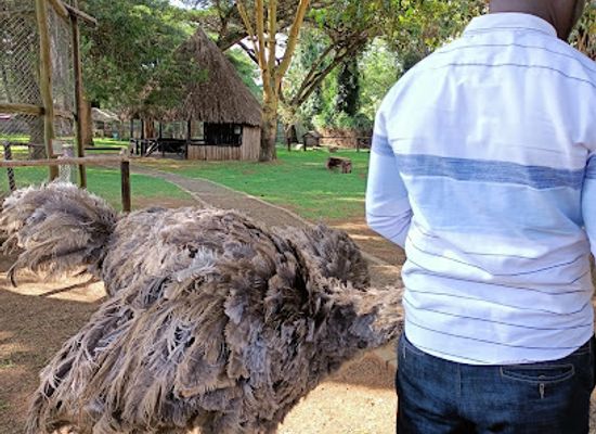 kenya/mount-kenya-region/landmark/mount-kenya-game-ranch