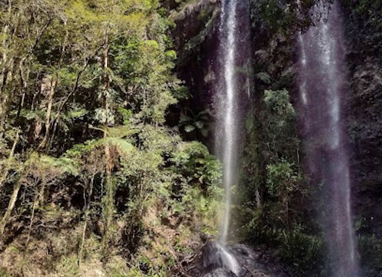 australia/far-north-queensland/landmark/twin-falls