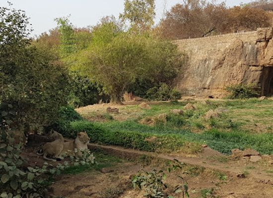 mali/sahel/landmark/zoo-national-du-mali