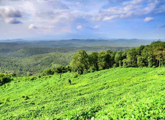 india/malabar-coast/landmark/mini-ooty