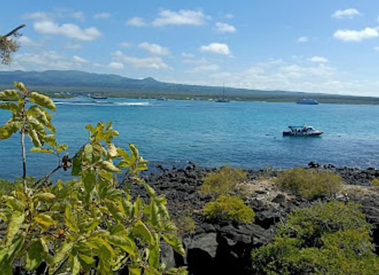 ecuador/galapagos-islands/landmark/tortuga-bay-beach