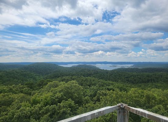oklahoma/ouachita-national-forest/landmark/carnasaw-lookout-tower