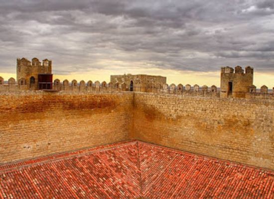 spain/castile-la-mancha/landmark/montealegre-de-campos-castle